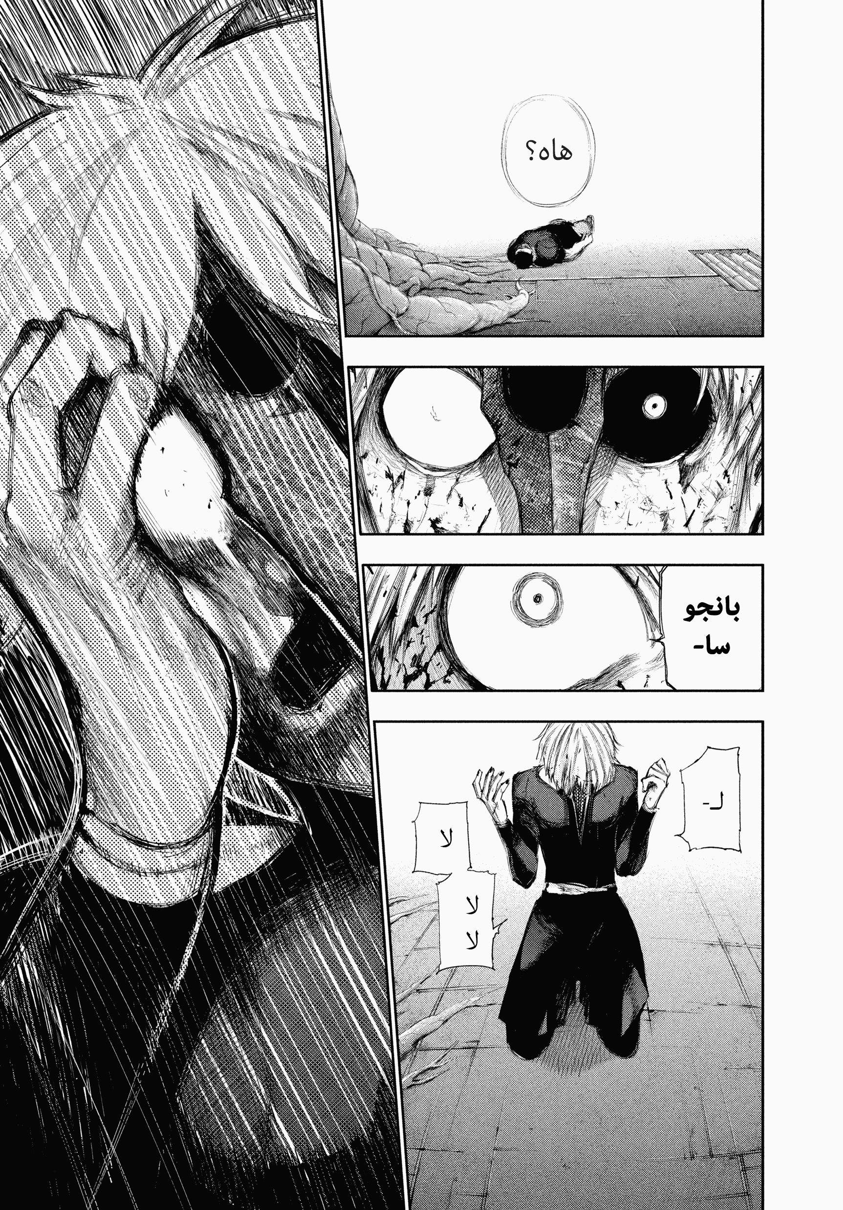 Read Tokyo Ghoul AR Manga Online