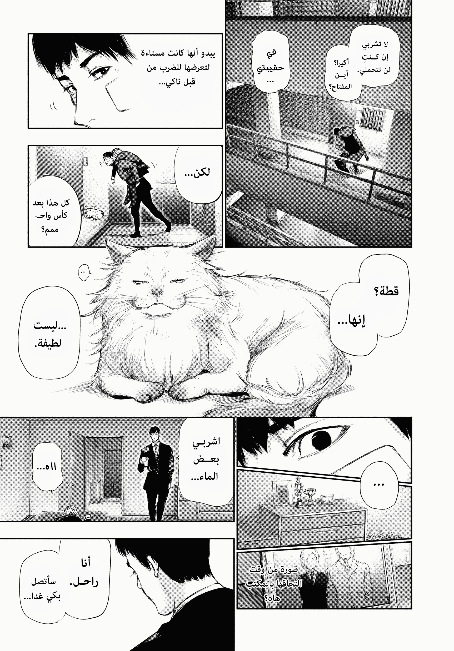 Read Tokyo Ghoul AR Manga Online