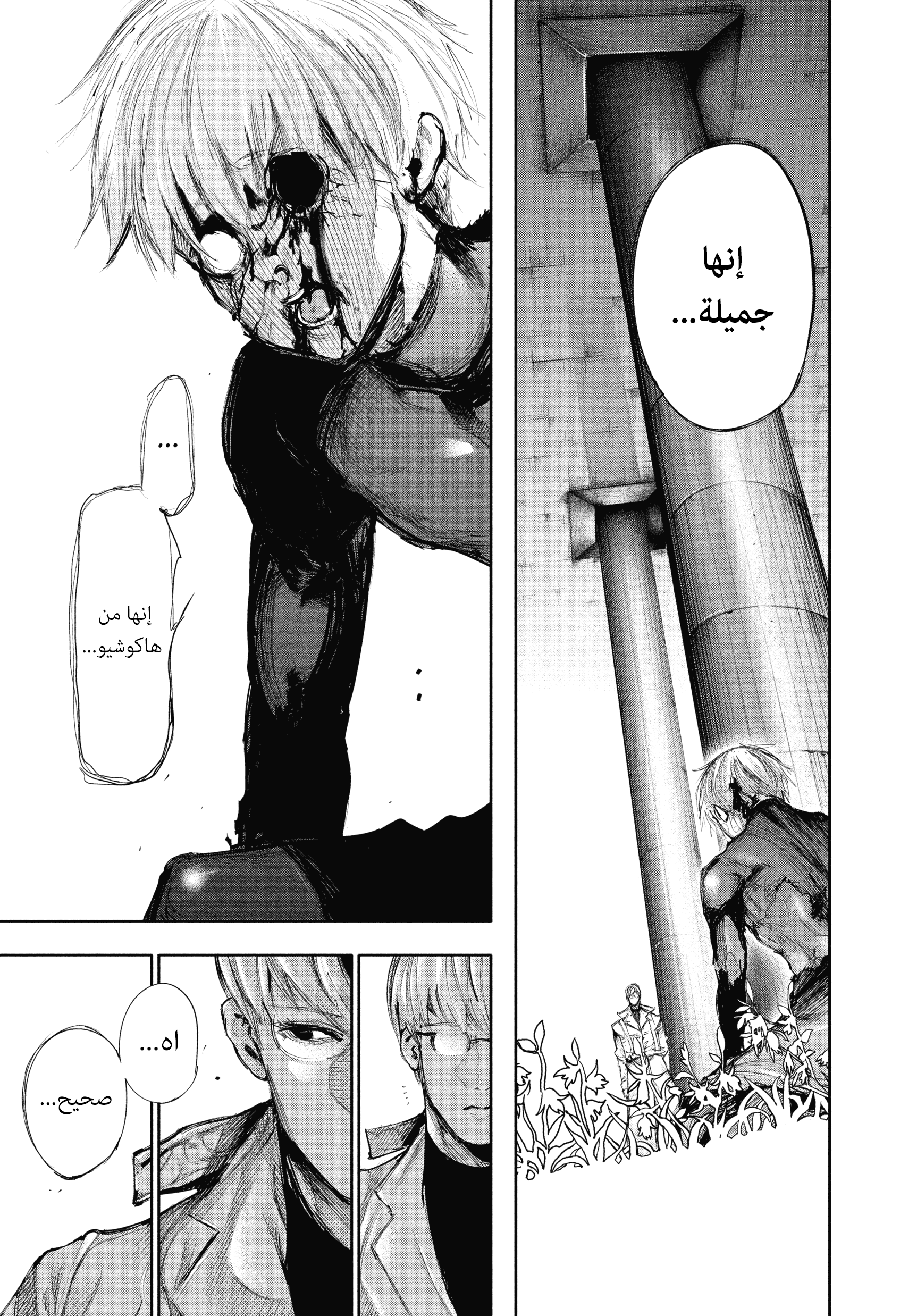 Read Tokyo Ghoul AR Manga Online