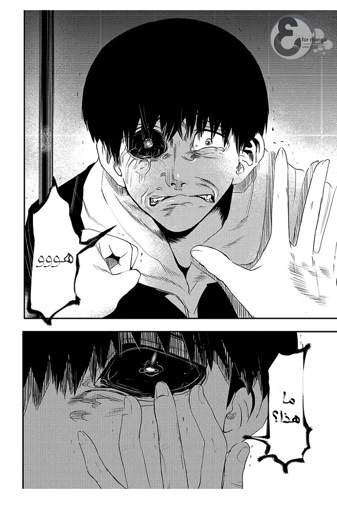 Read Tokyo Ghoul AR Manga Online