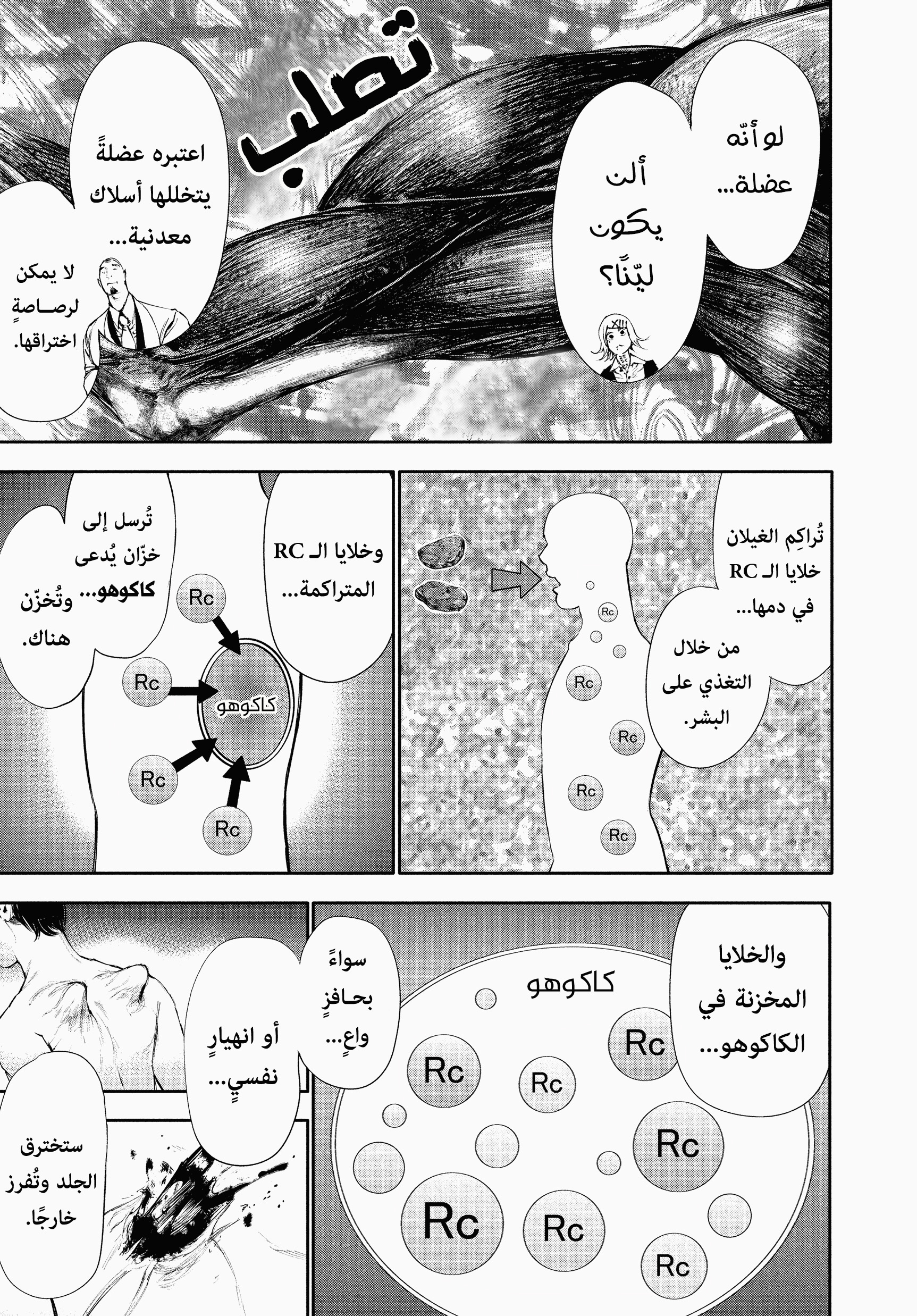 Read Tokyo Ghoul AR Manga Online