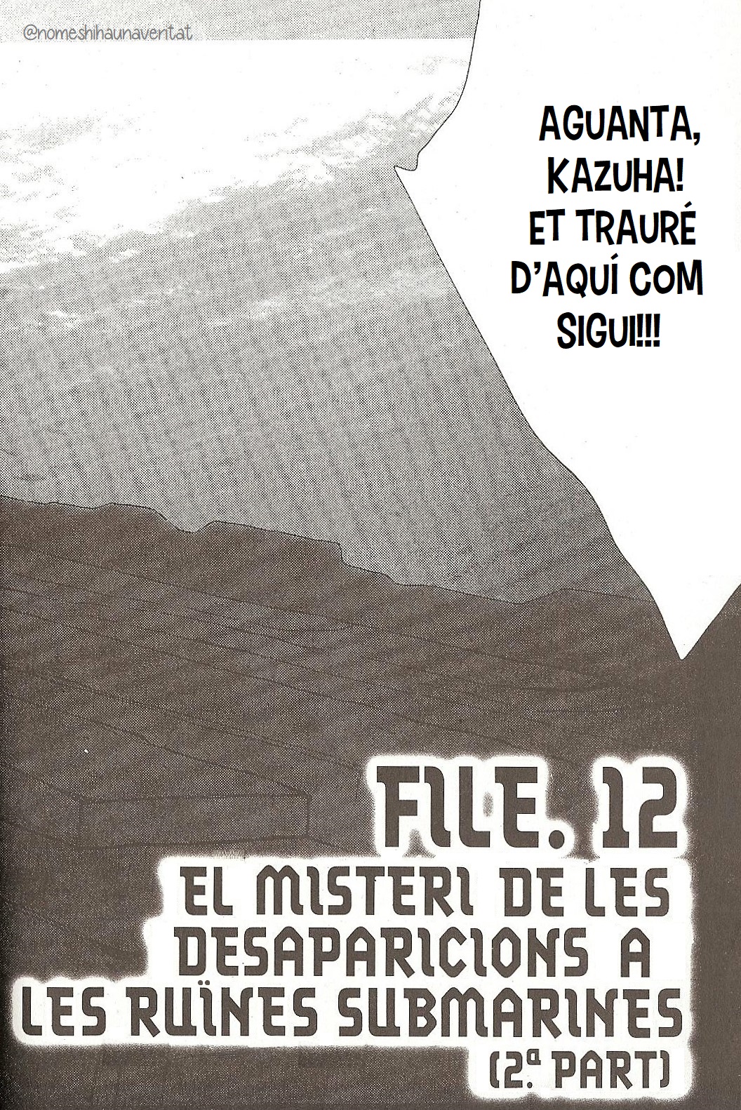 Read Detective Conan Special CAT Manga Online