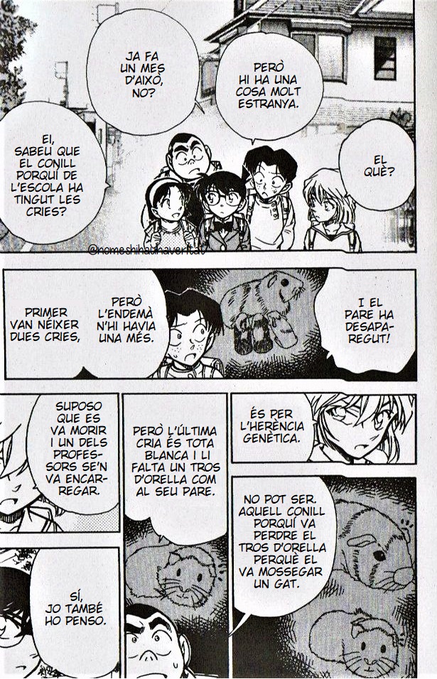 Read Detective Conan Special CAT Manga Online