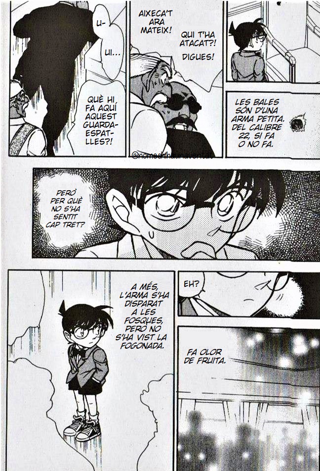 Read Detective Conan Special CAT Manga Online