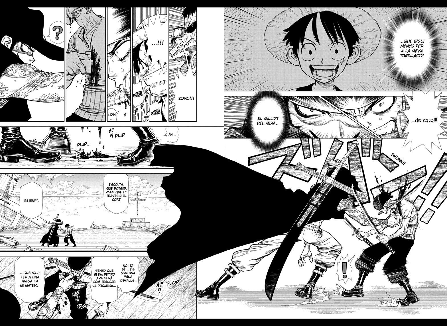 Read En Roronoa Zoro cau al mar CAT Manga Online