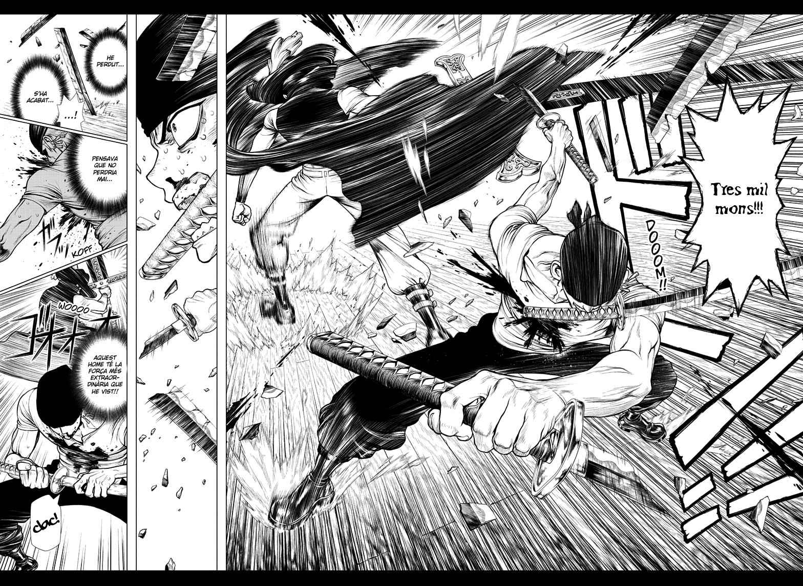 Read En Roronoa Zoro cau al mar CAT Manga Online