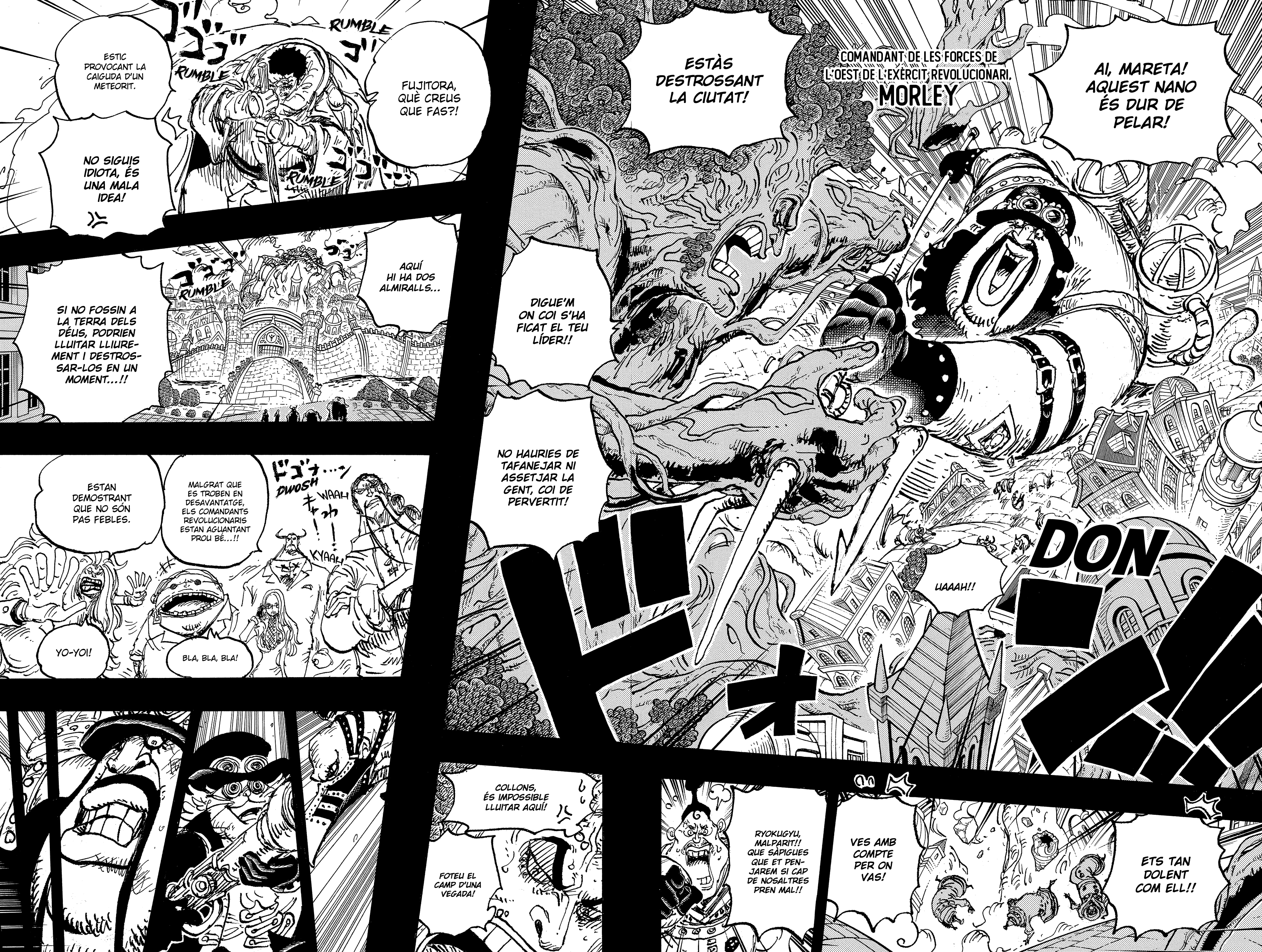 Read One Piece CAT Manga Online