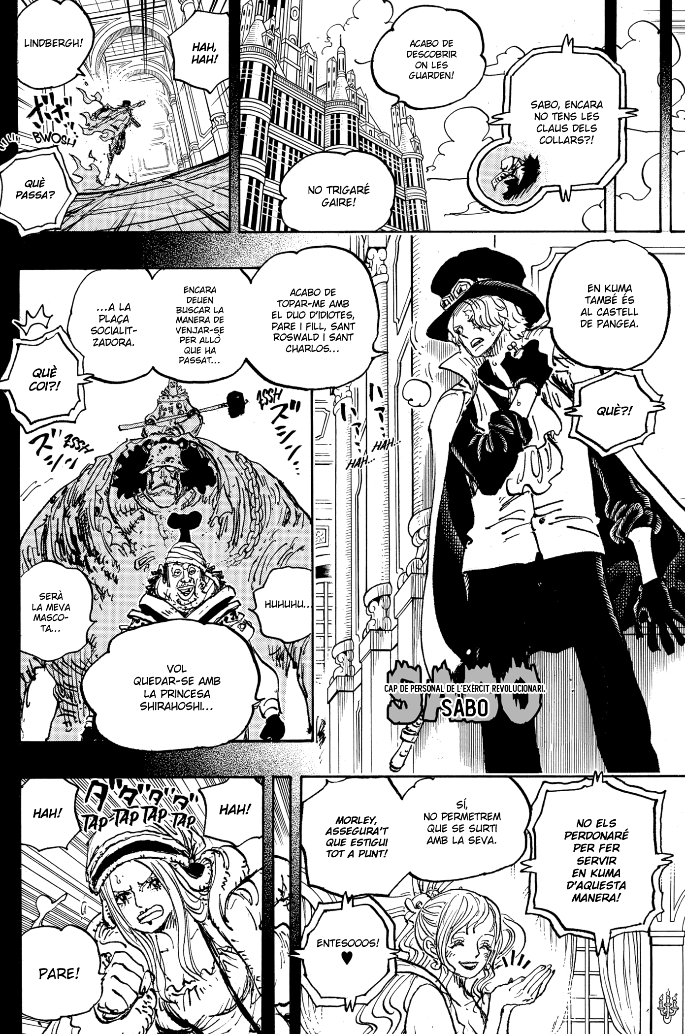 Read One Piece CAT Manga Online