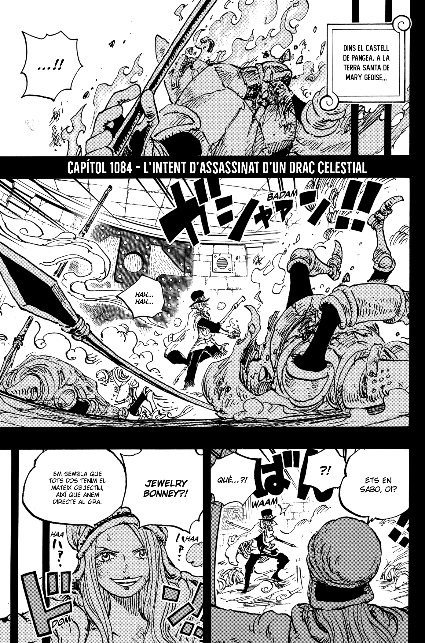Read One Piece CAT Manga Online