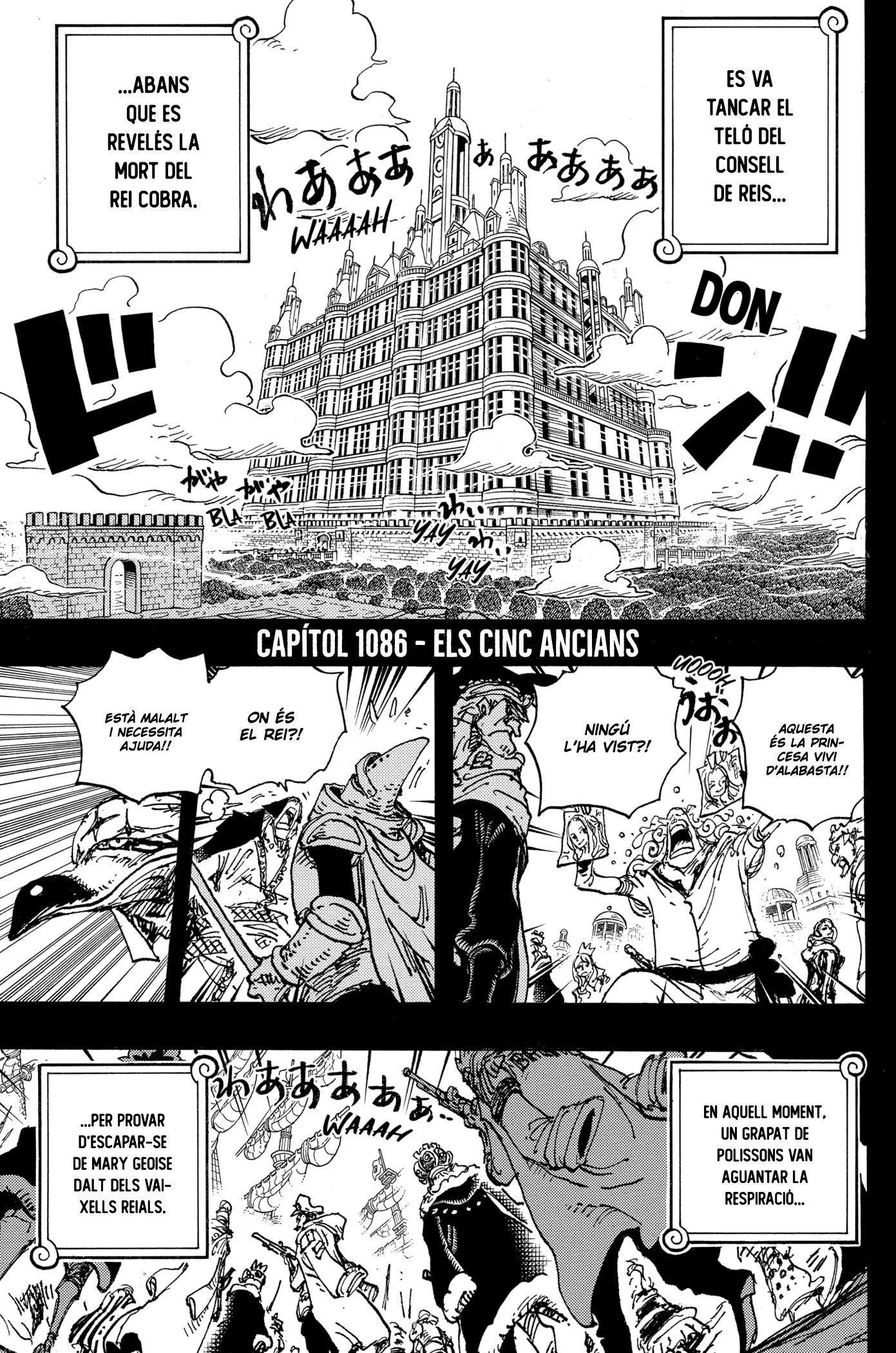 Read One Piece CAT Manga Online