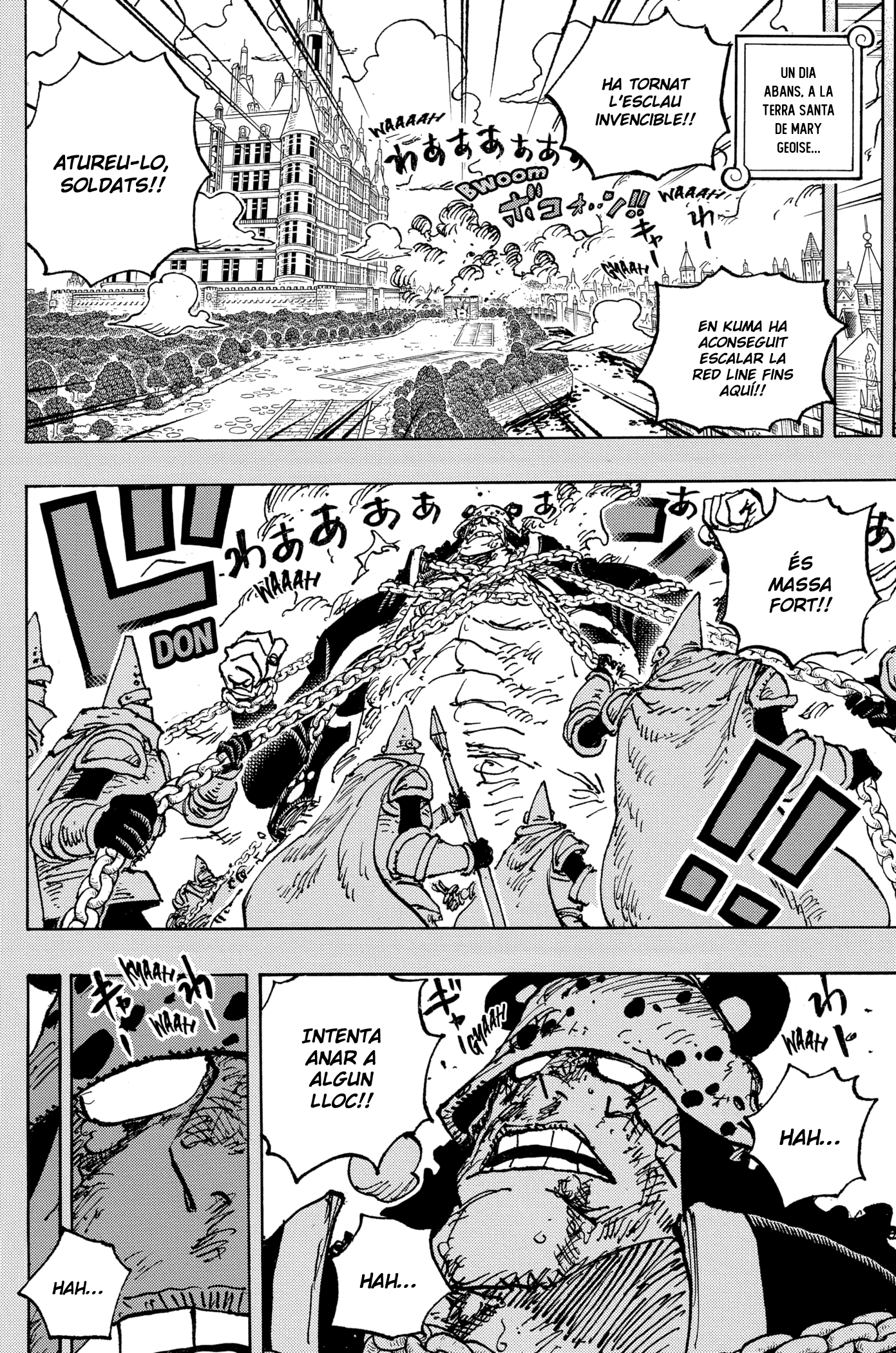 Read One Piece CAT Manga Online