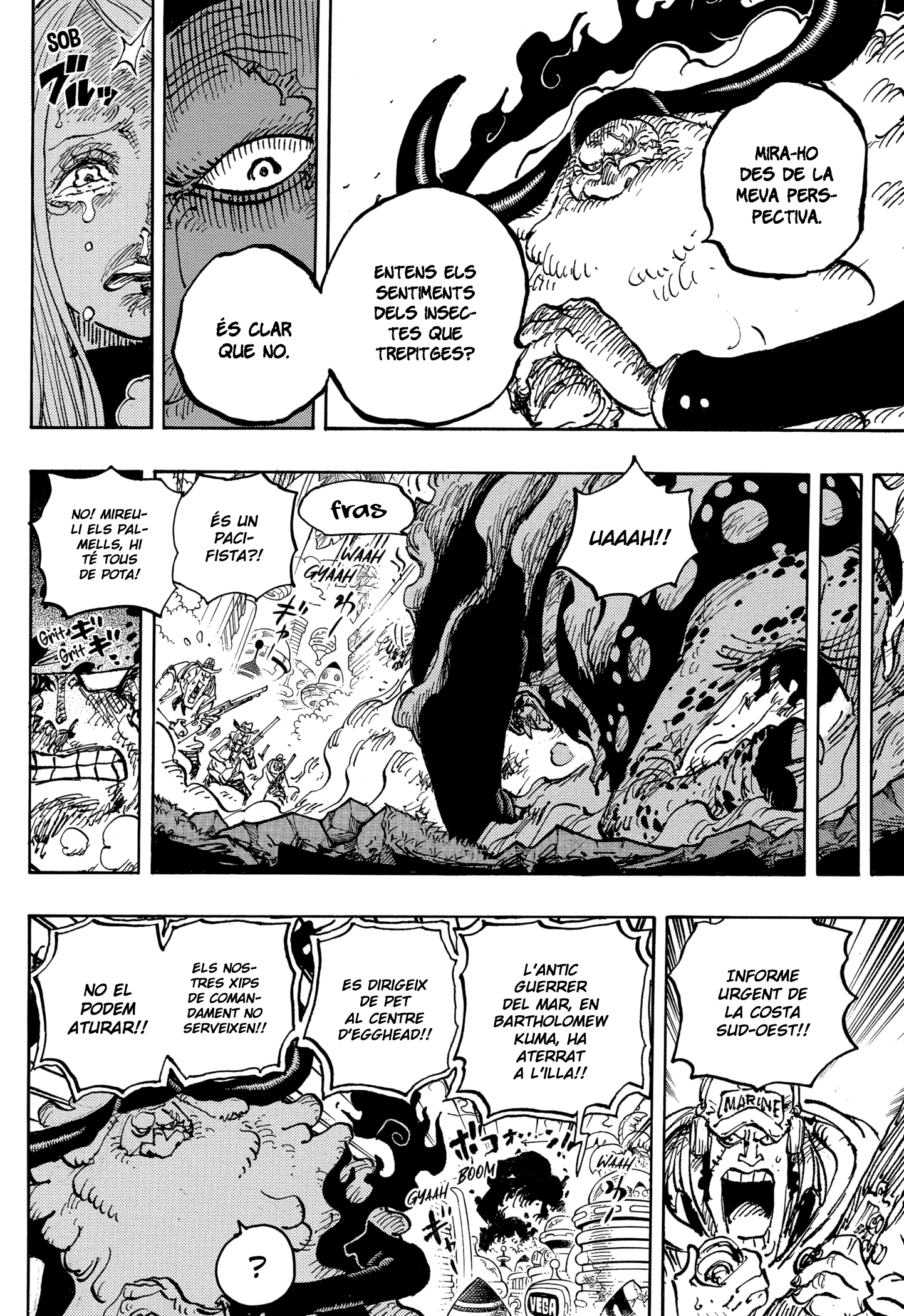 Read One Piece CAT Manga Online