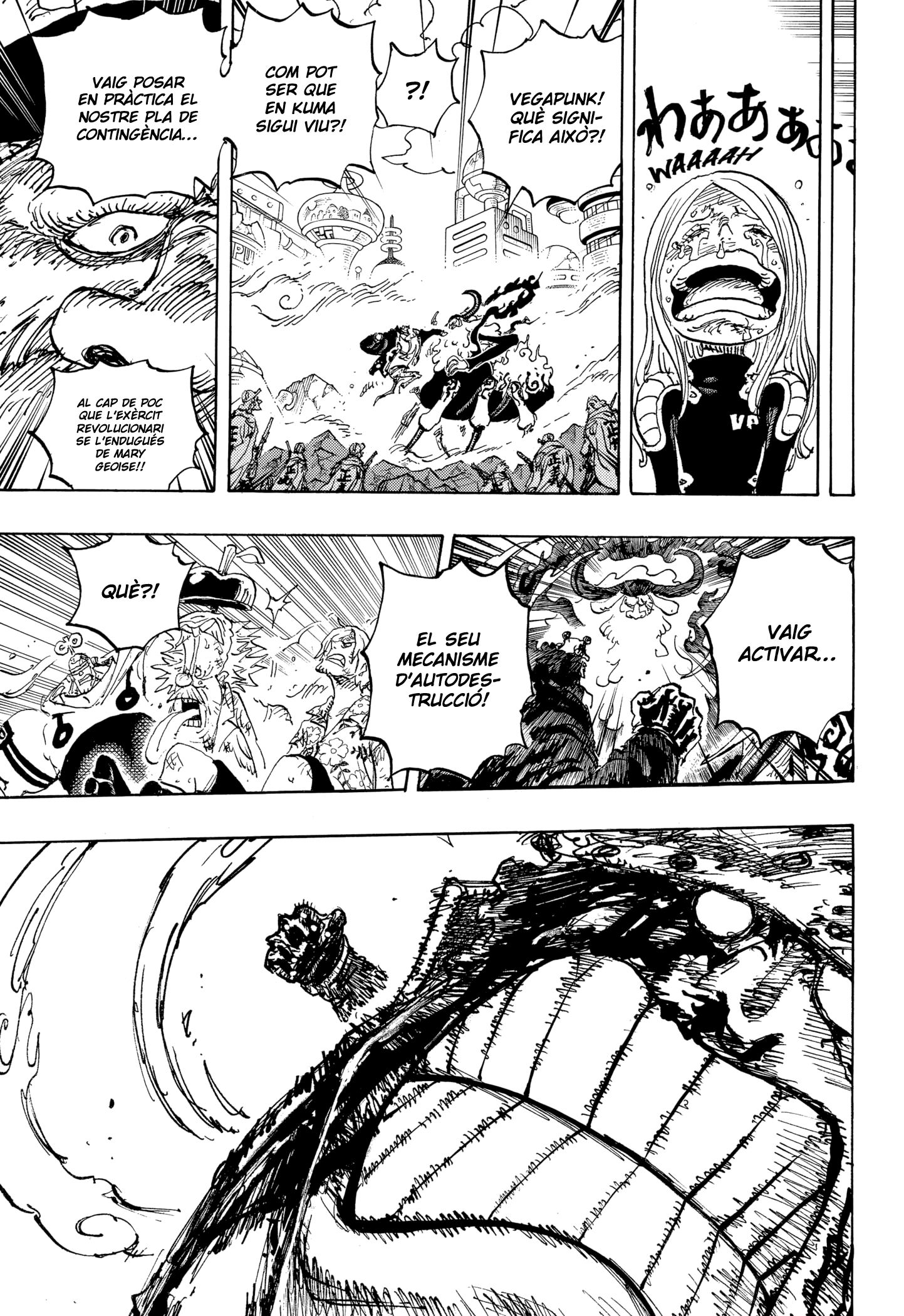 Read One Piece CAT Manga Online