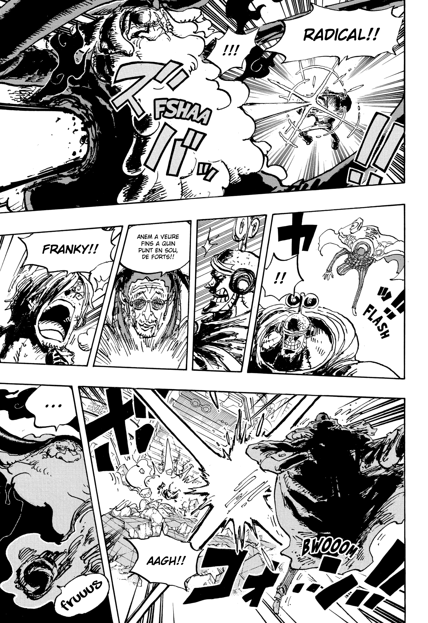 Read One Piece CAT Manga Online