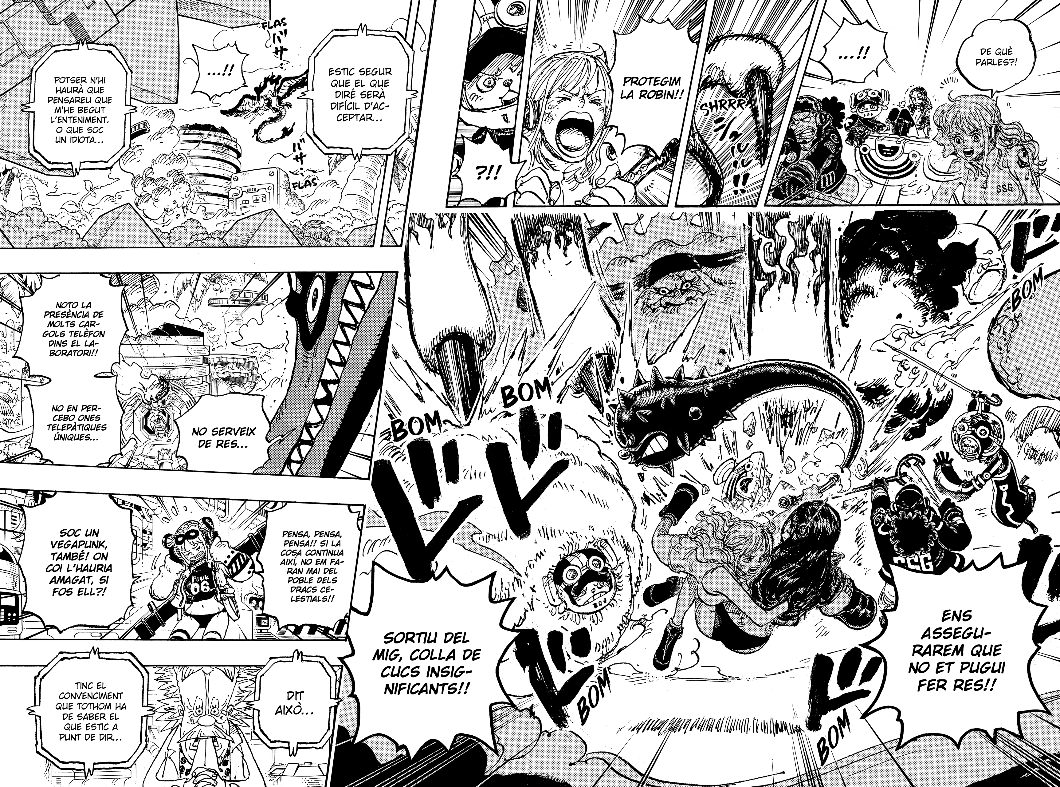 Read One Piece CAT Manga Online