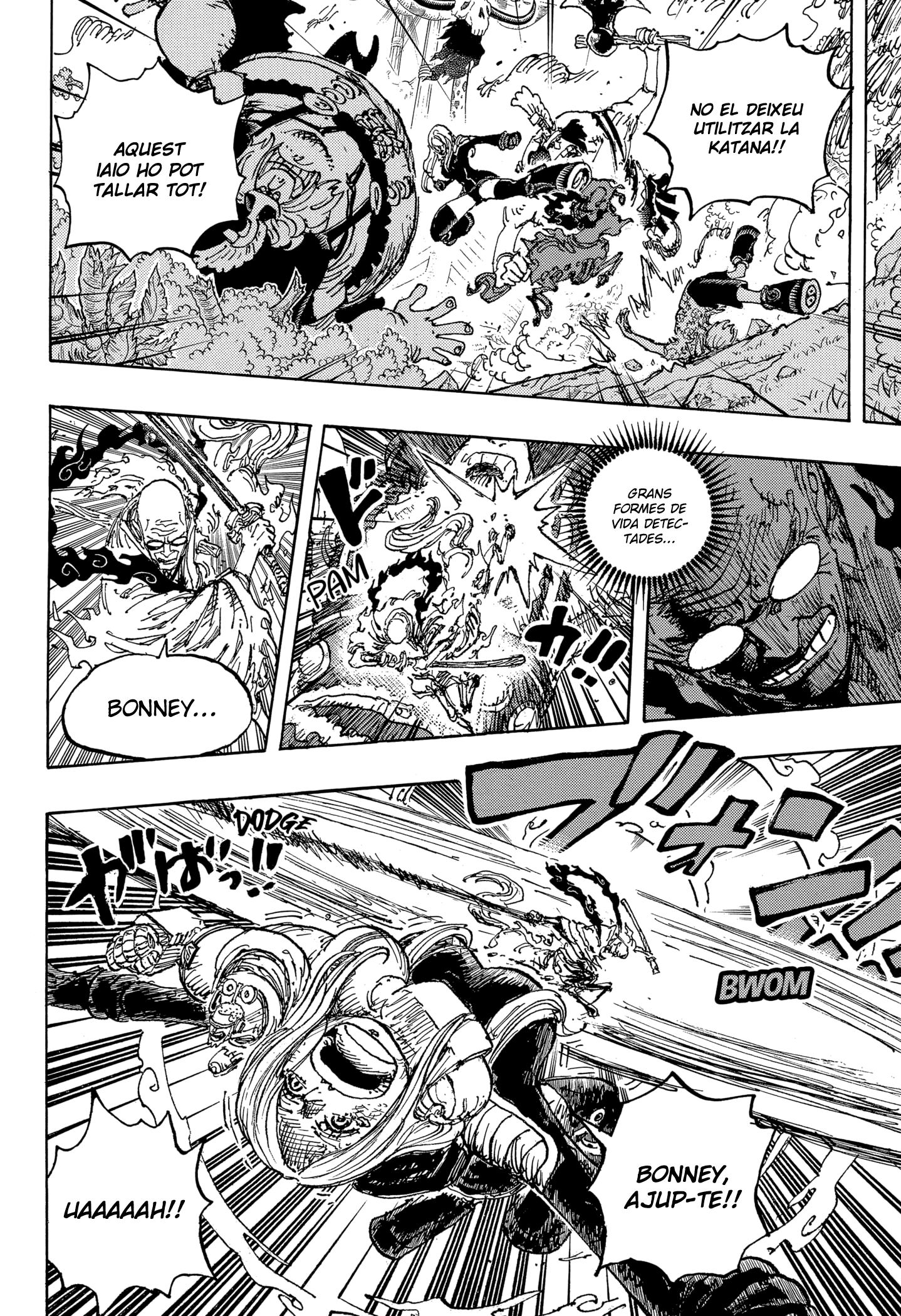 Read One Piece CAT Manga Online