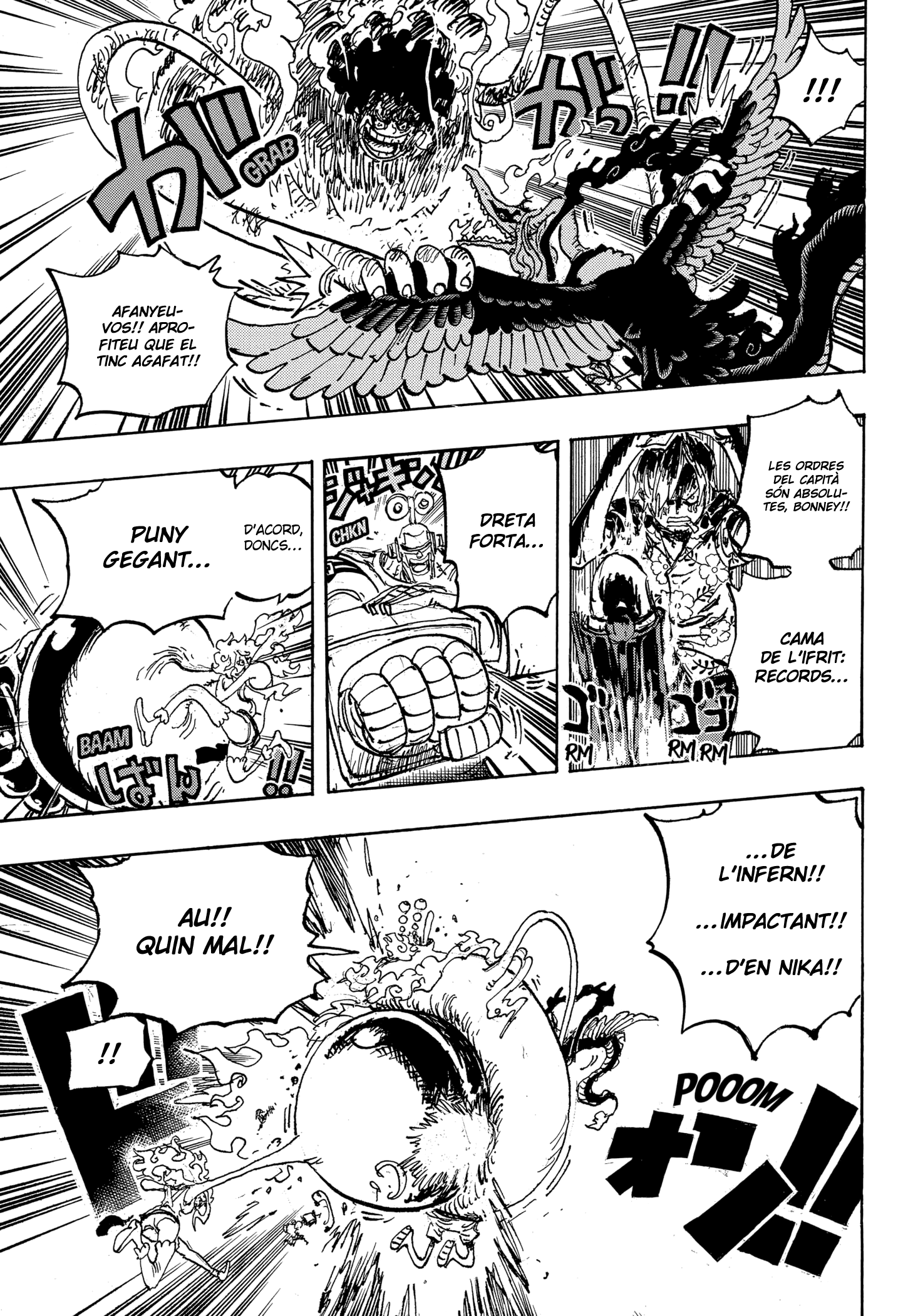 Read One Piece CAT Manga Online