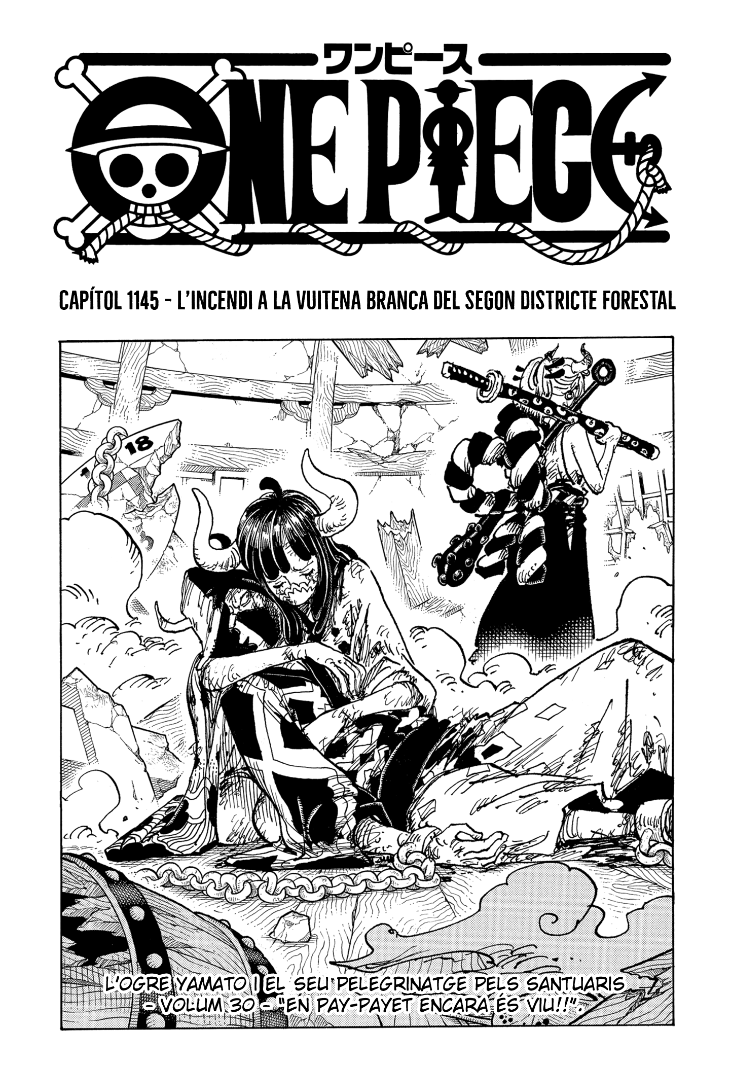 Read One Piece CAT Manga Online