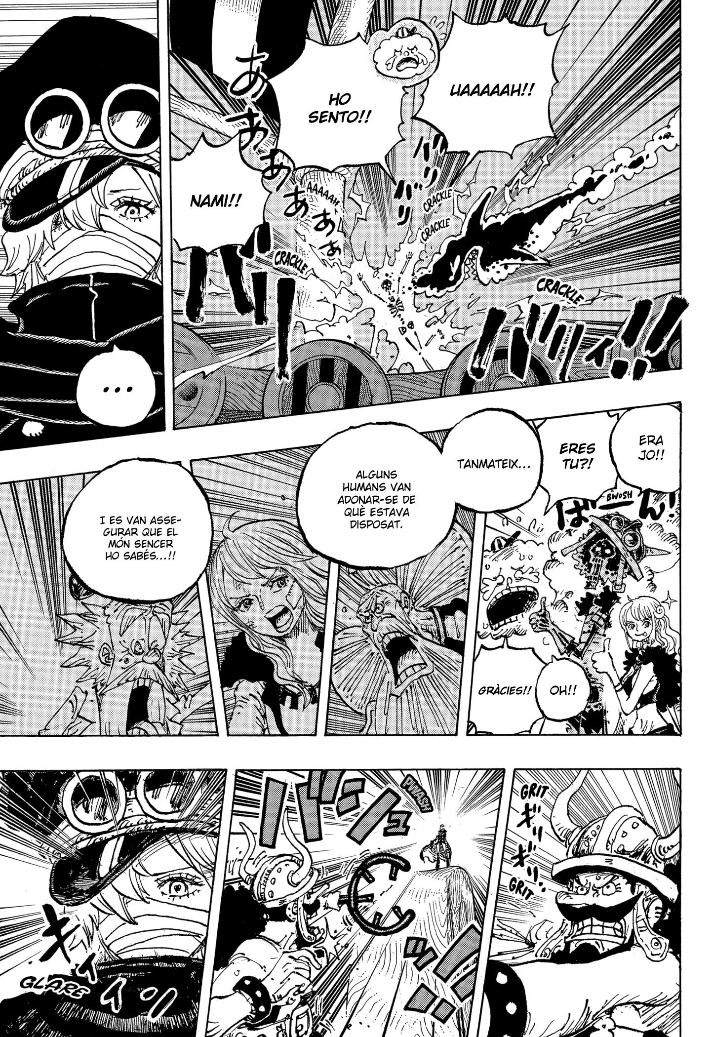 Read One Piece CAT Manga Online