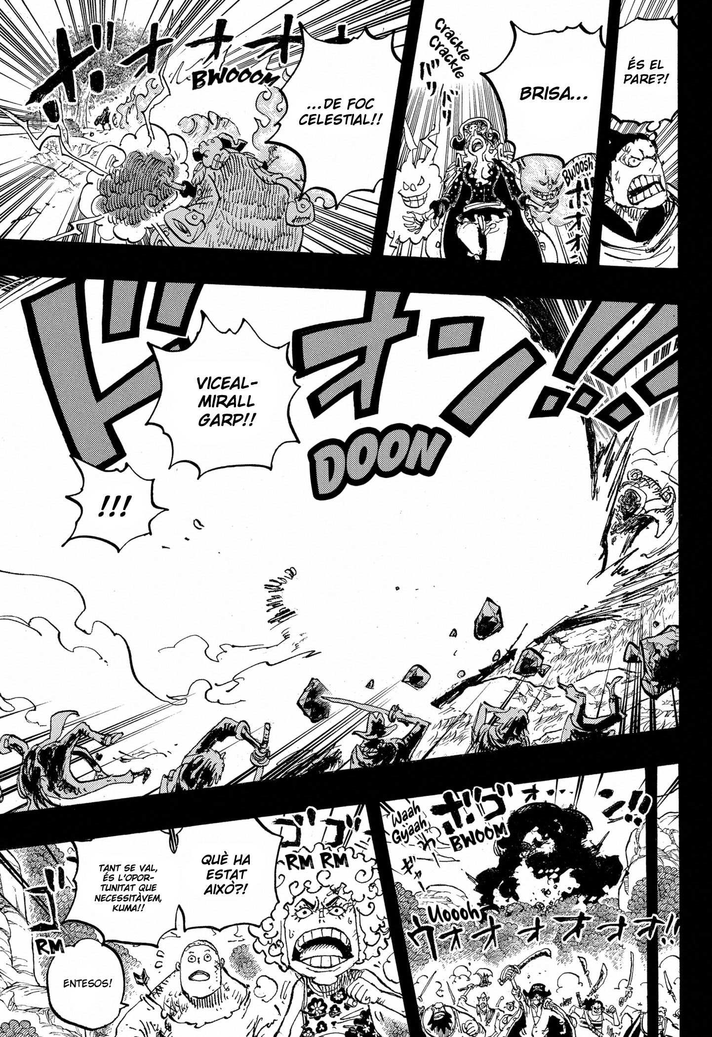 Read One Piece CAT Manga Online