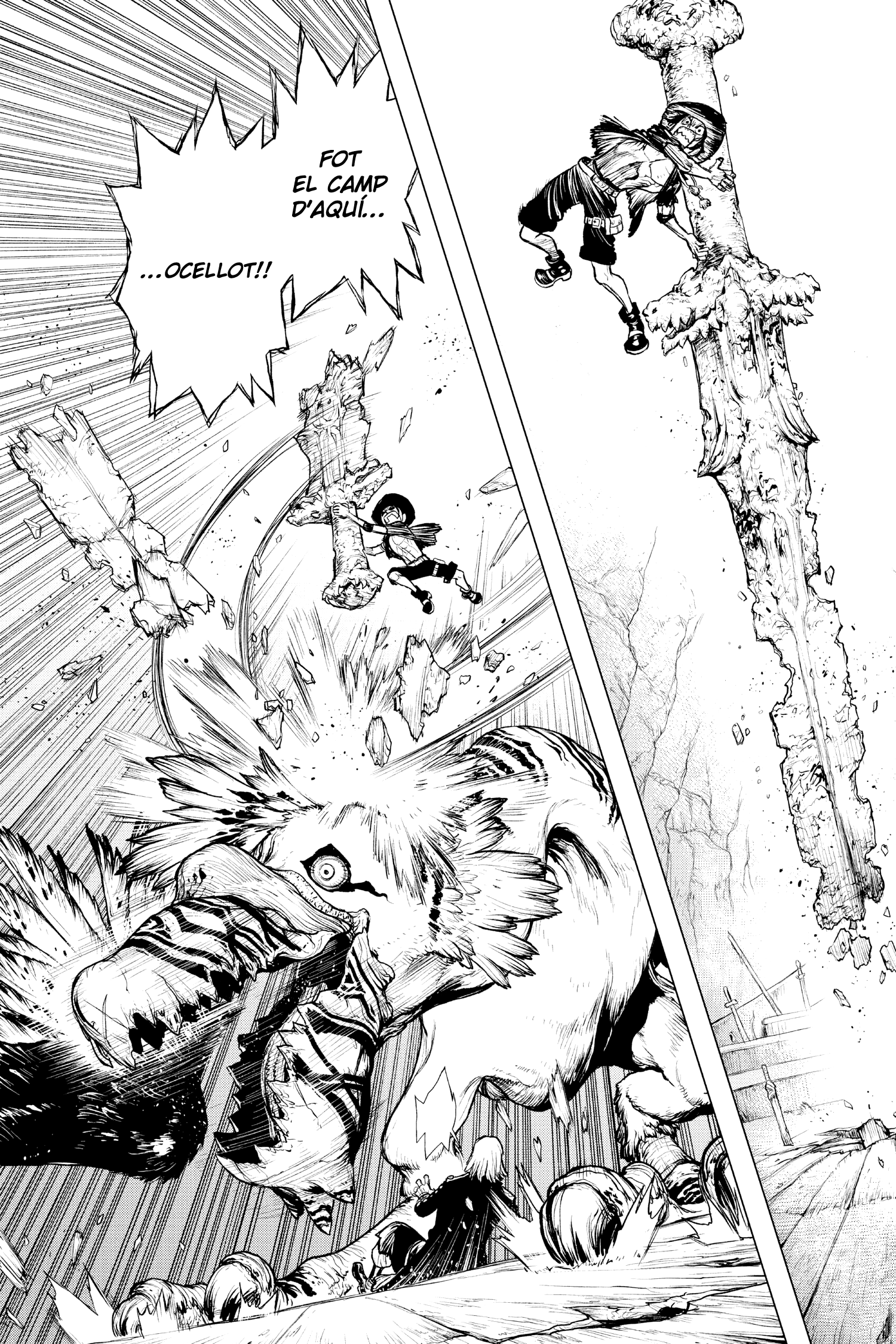 Read One Piece, l’episodi de l’Ace CAT Manga Online