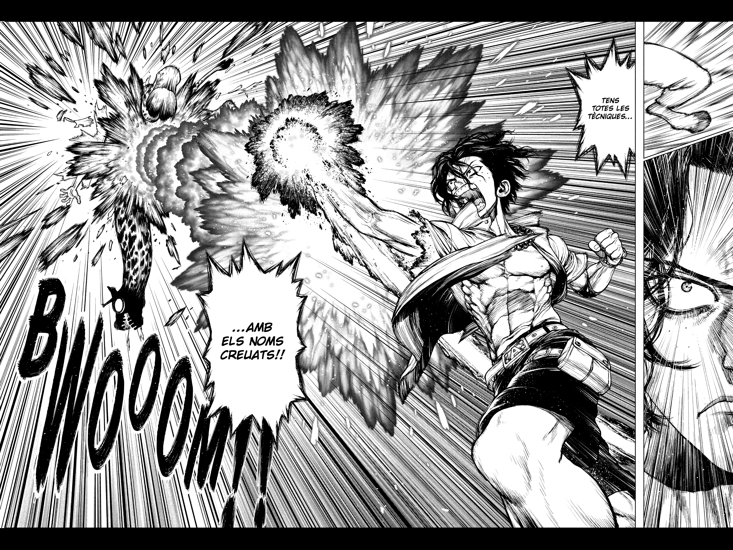 Read One Piece, l’episodi de l’Ace CAT Manga Online