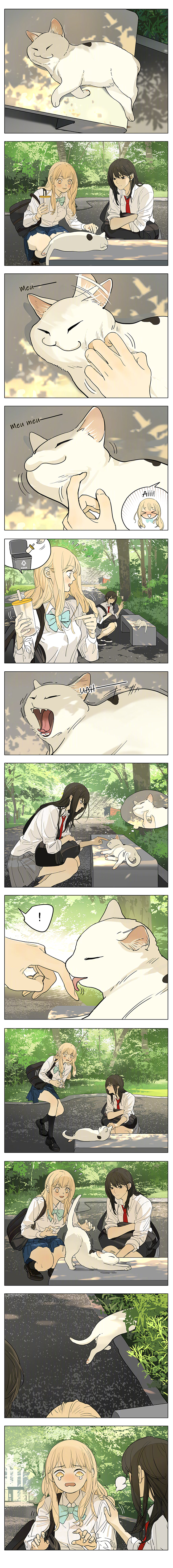 Read Tāmen De Gùshì CAT Manga Online