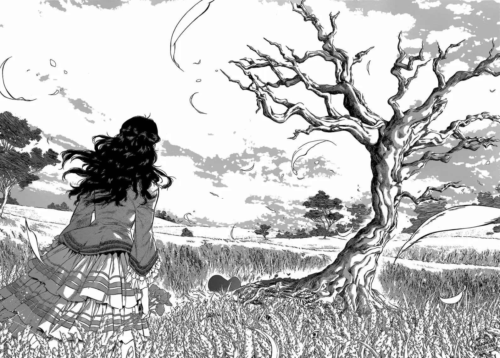 Read D.Gray-man Manga Online