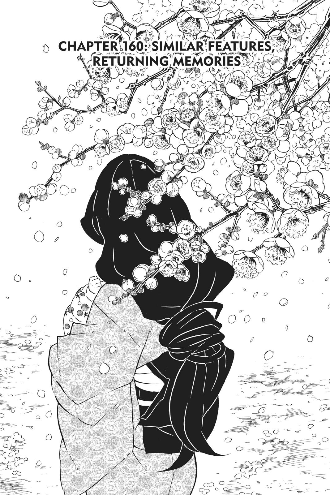 Read Demon Slayer Kimetsu no Yaiba Manga Online