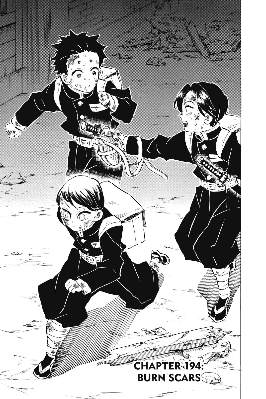 Read Demon Slayer Kimetsu no Yaiba Manga Online