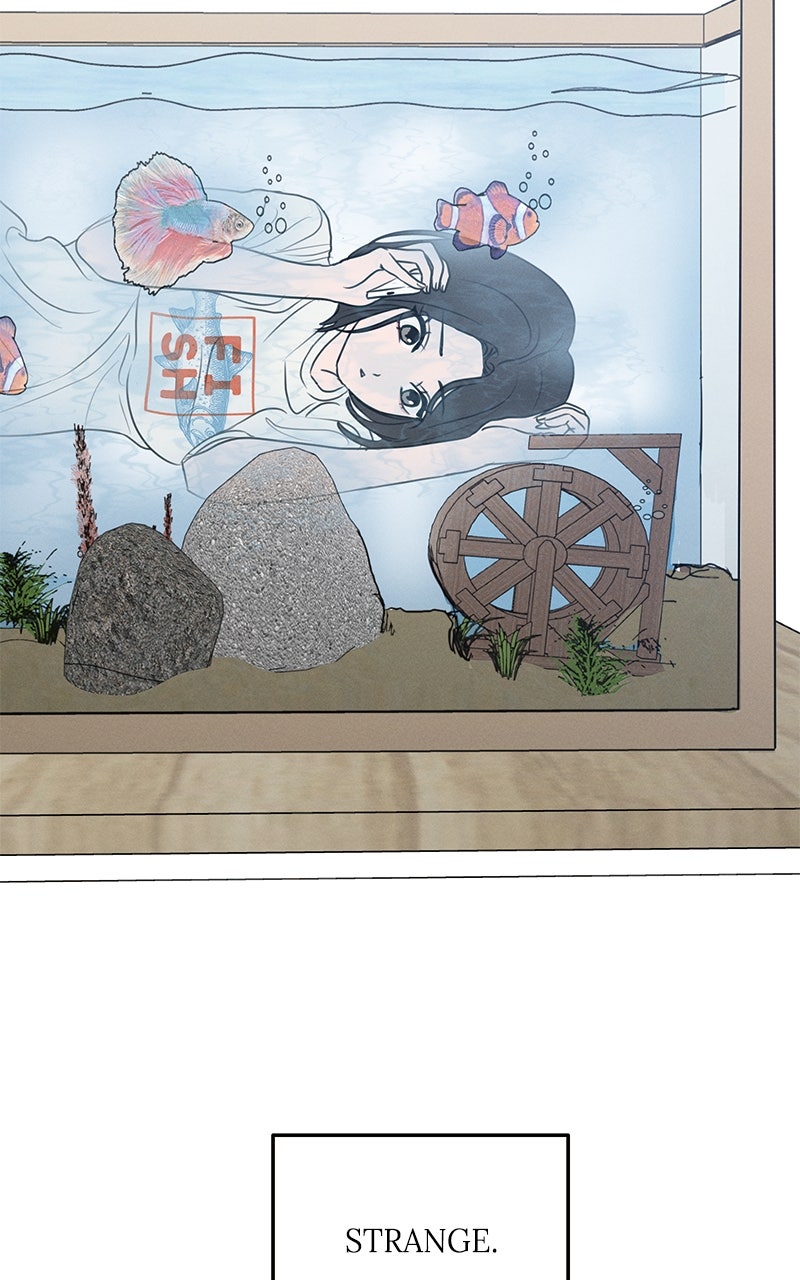 Read Falling for It Manga Online