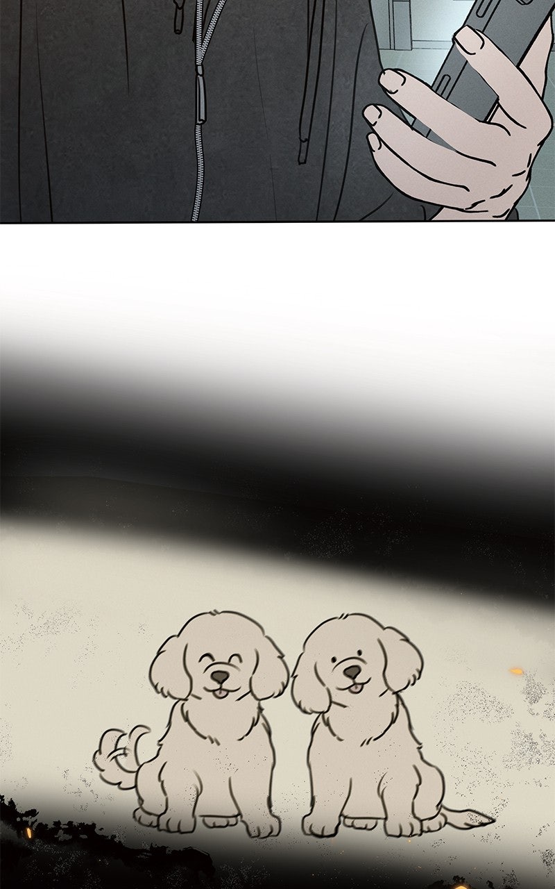 Read Falling for It Manga Online