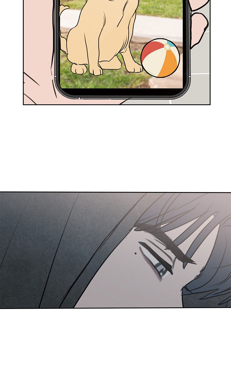 Read Falling for It Manga Online