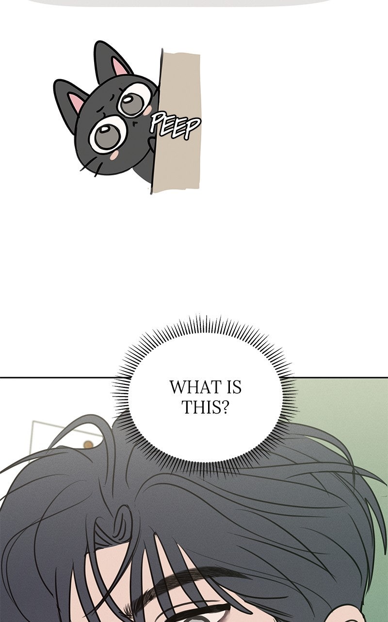 Read Falling for It Manga Online