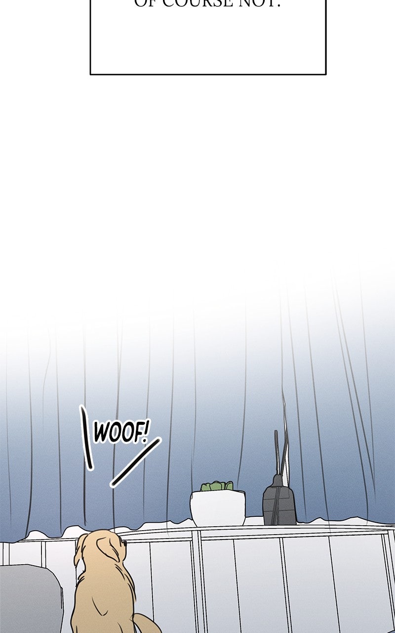 Read Falling for It Manga Online