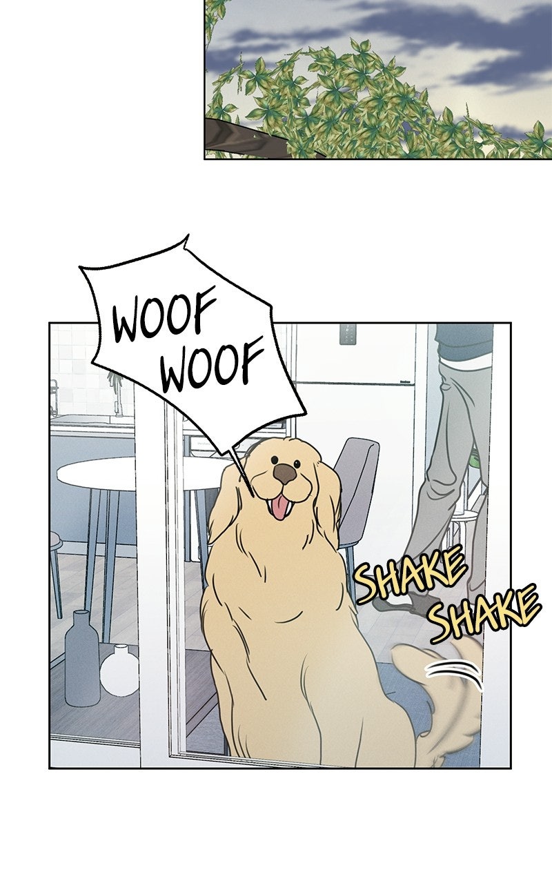 Read Falling for It Manga Online