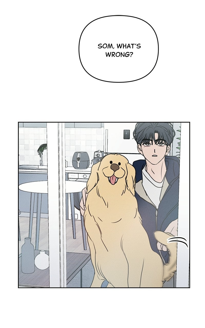 Read Falling for It Manga Online