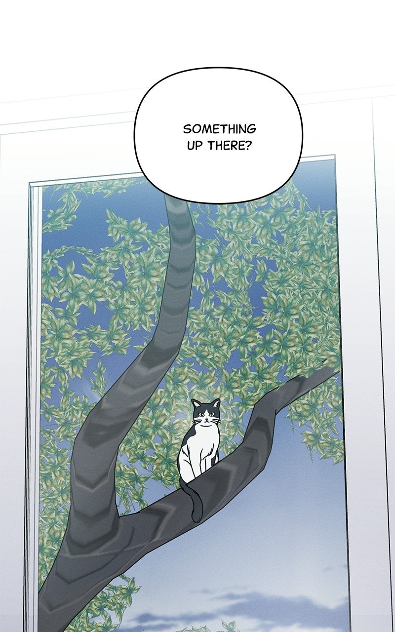 Read Falling for It Manga Online