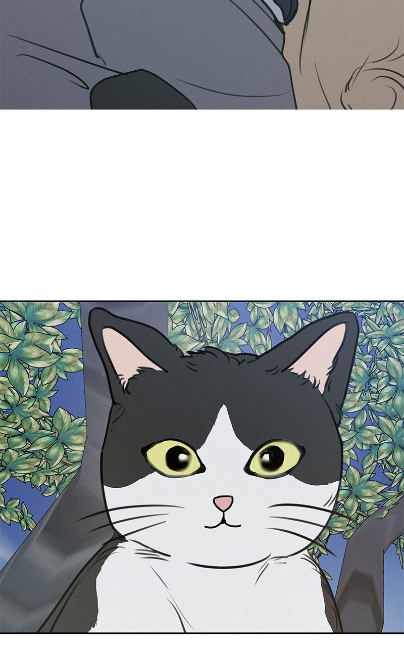 Read Falling for It Manga Online