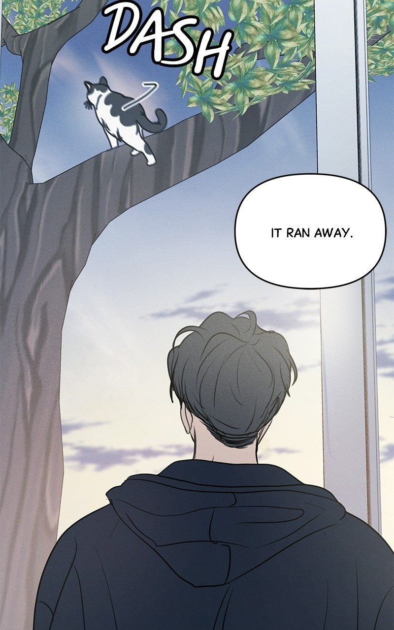 Read Falling for It Manga Online