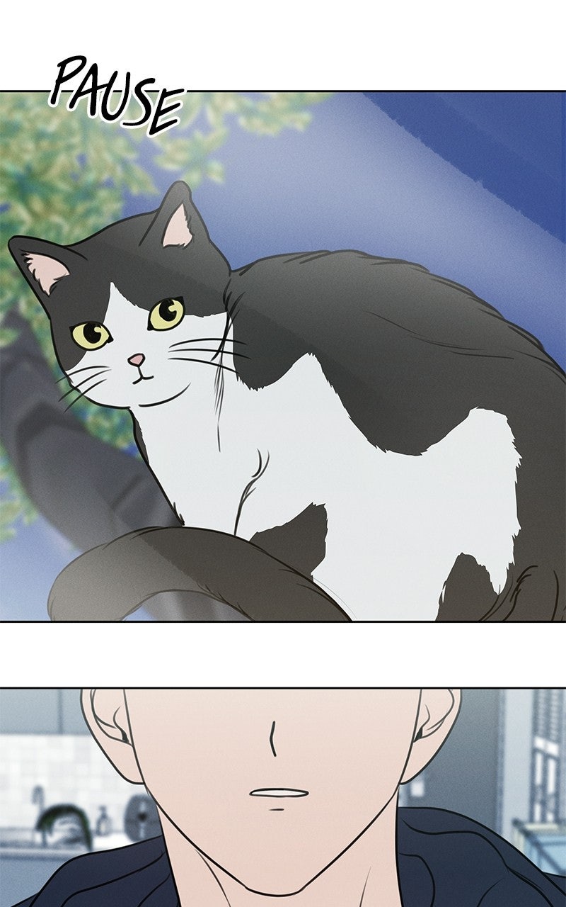 Read Falling for It Manga Online