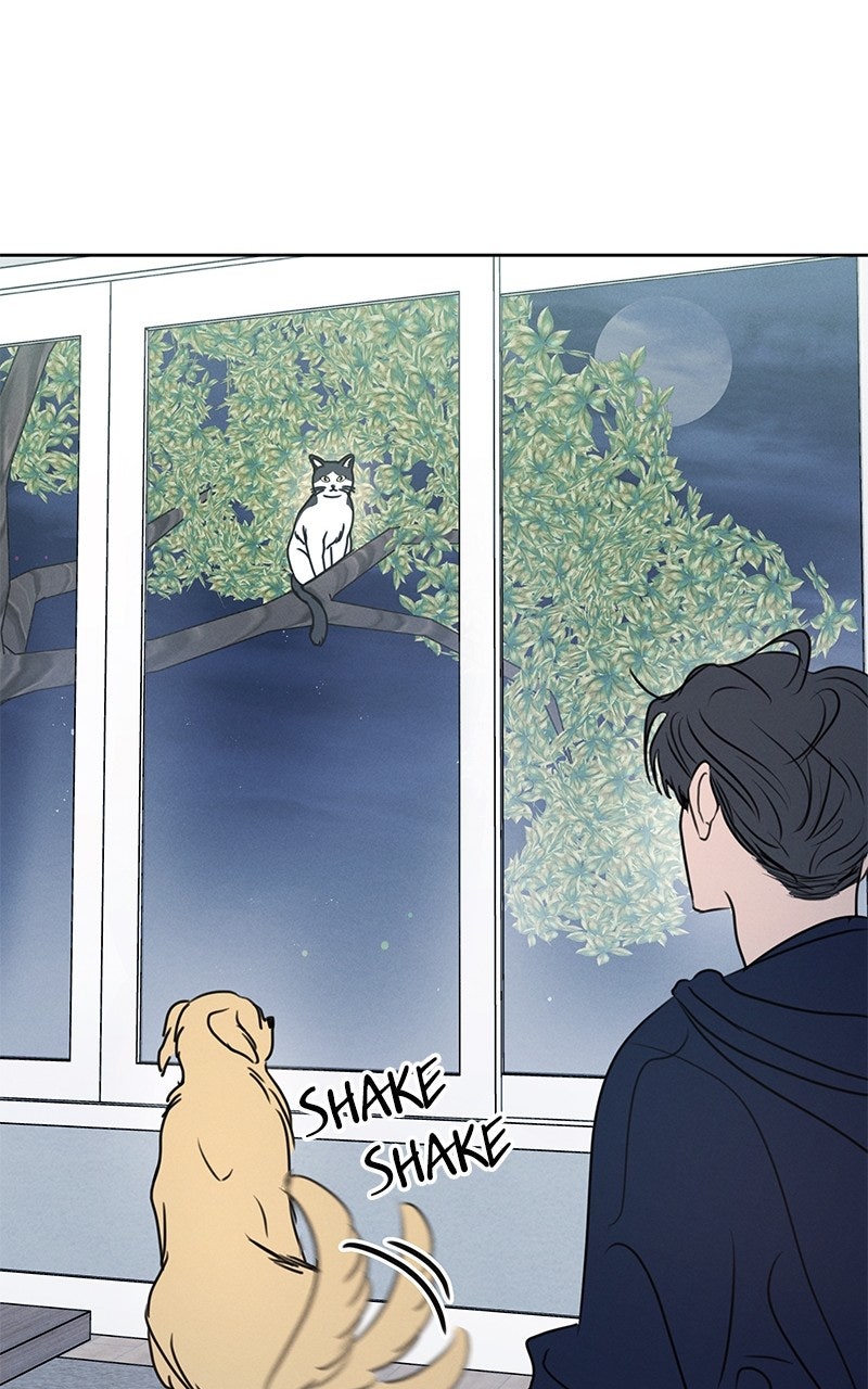 Read Falling for It Manga Online