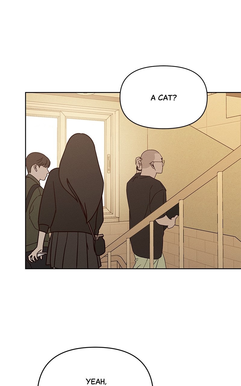 Read Falling for It Manga Online