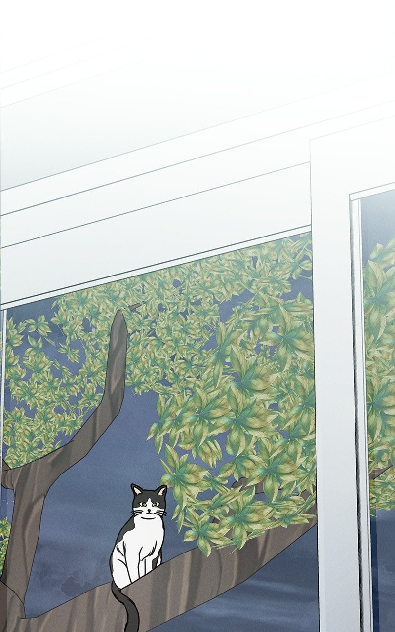 Read Falling for It Manga Online