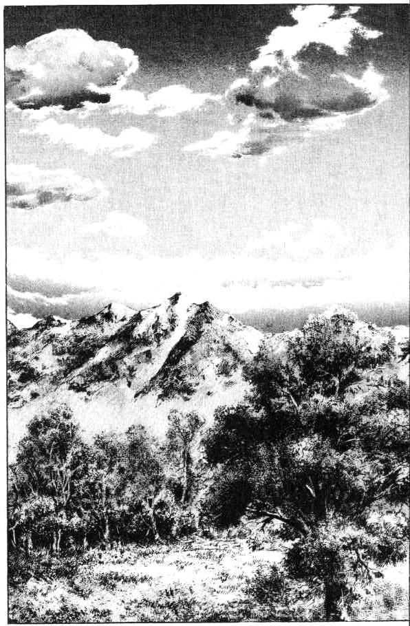 Read Fist of the North Star Manga Online