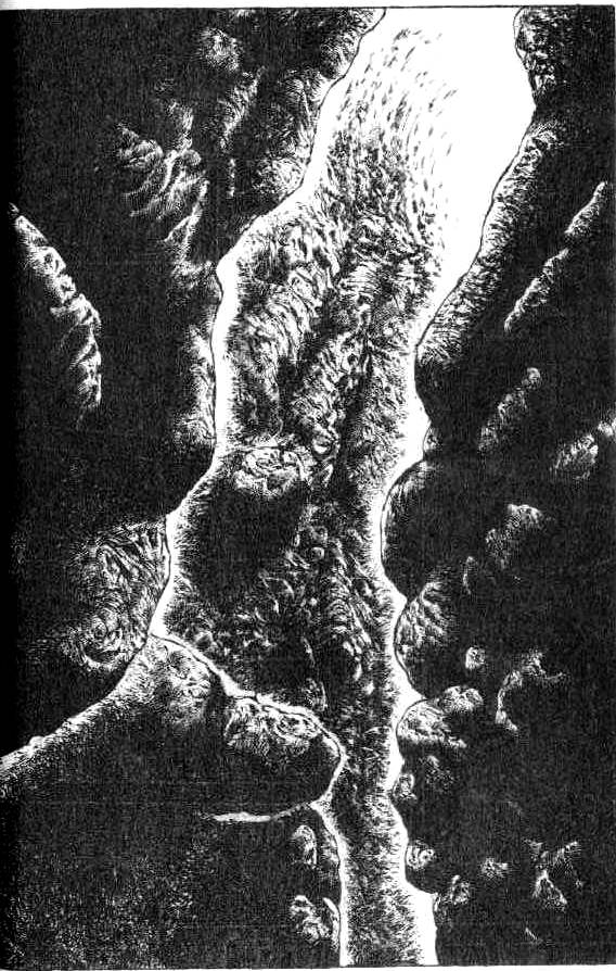 Read Fist of the North Star Manga Online