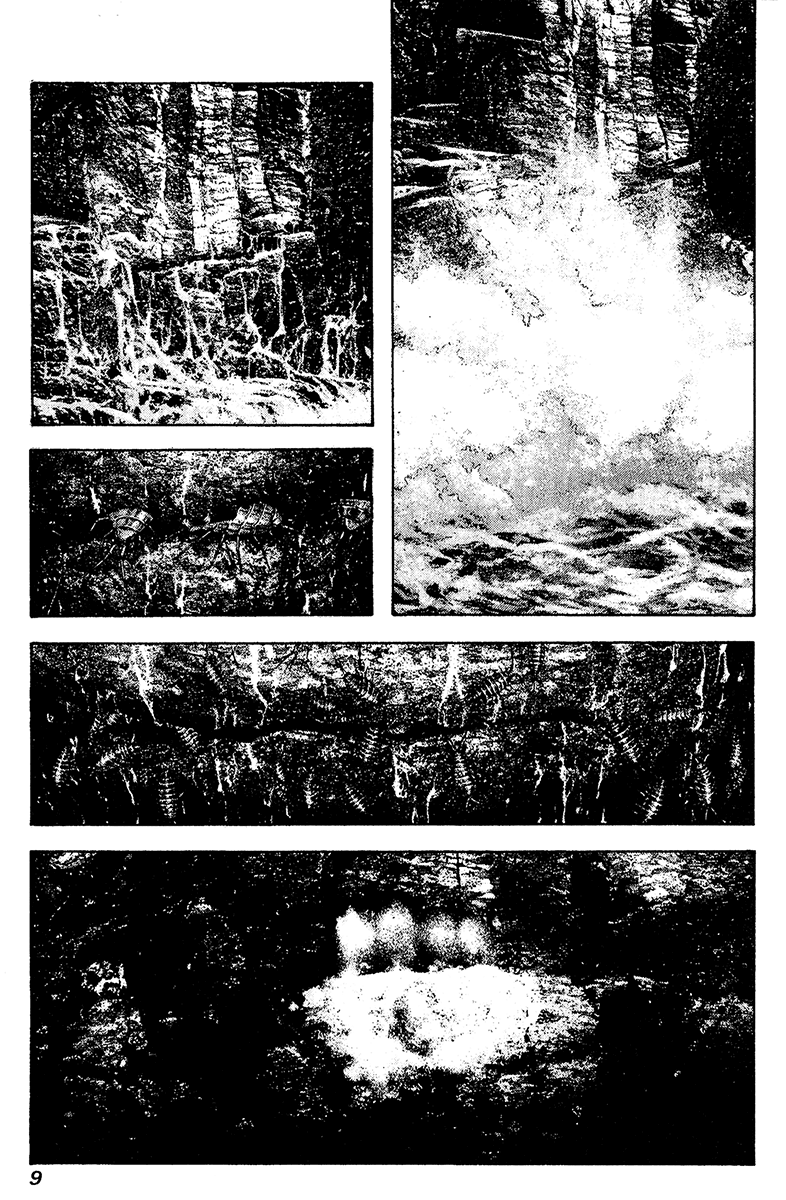 Read The Climber Manga Online