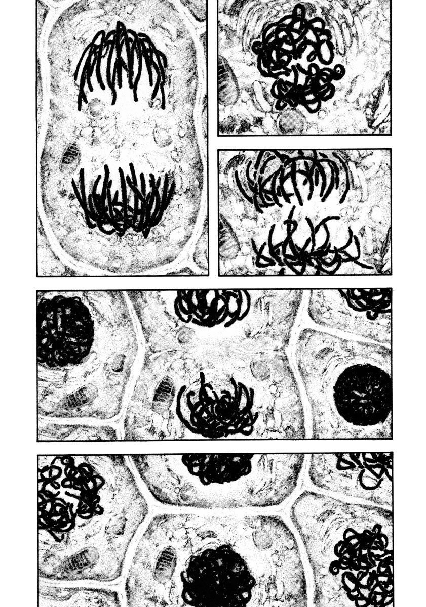 Read The Climber Manga Online