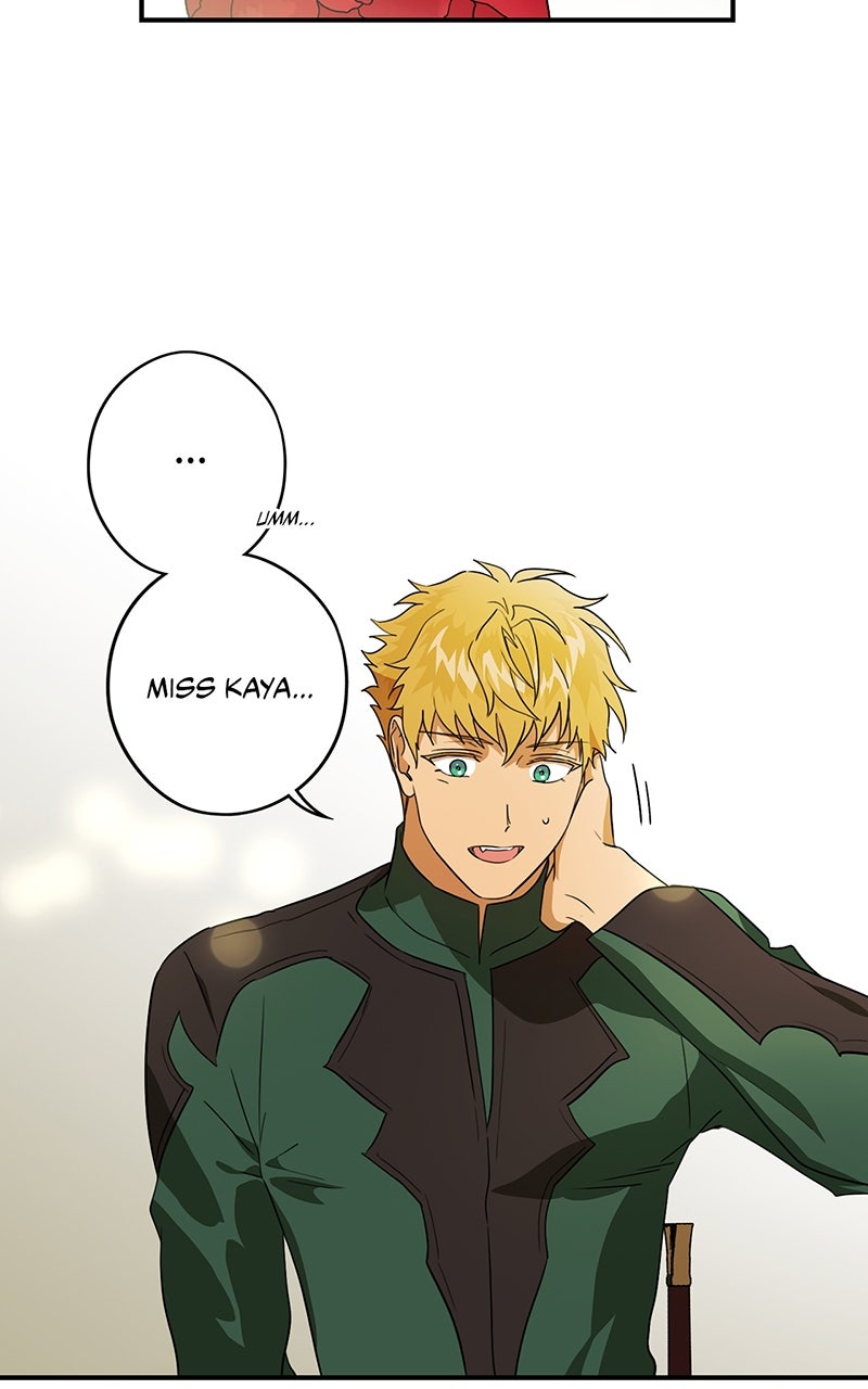 Read The Spark in Your Eyes Manga Online