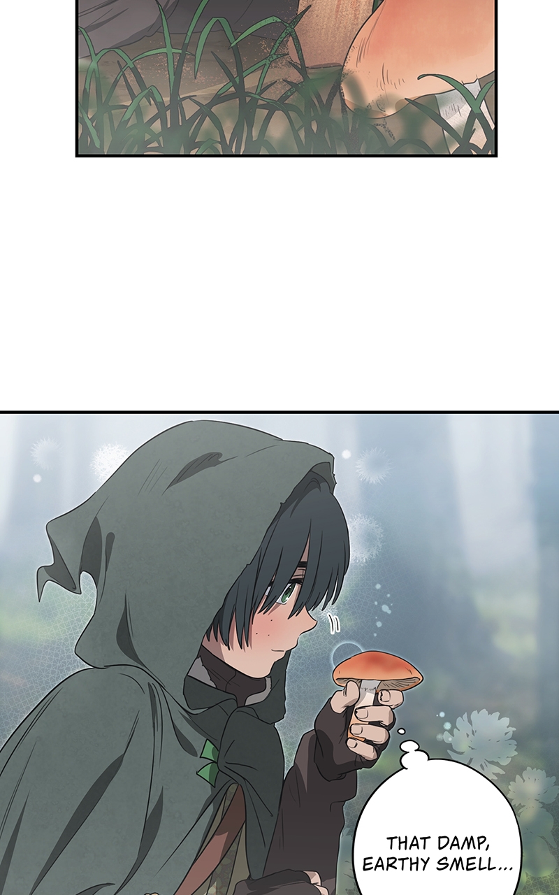 Read The Spark in Your Eyes Manga Online